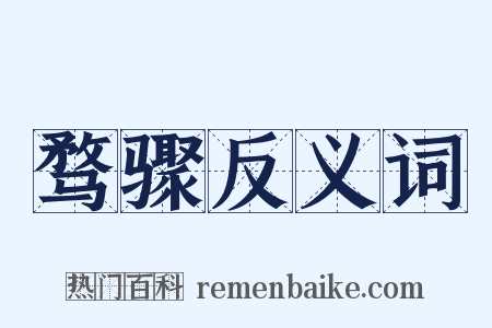 骛骤反义词是什么意思的图片